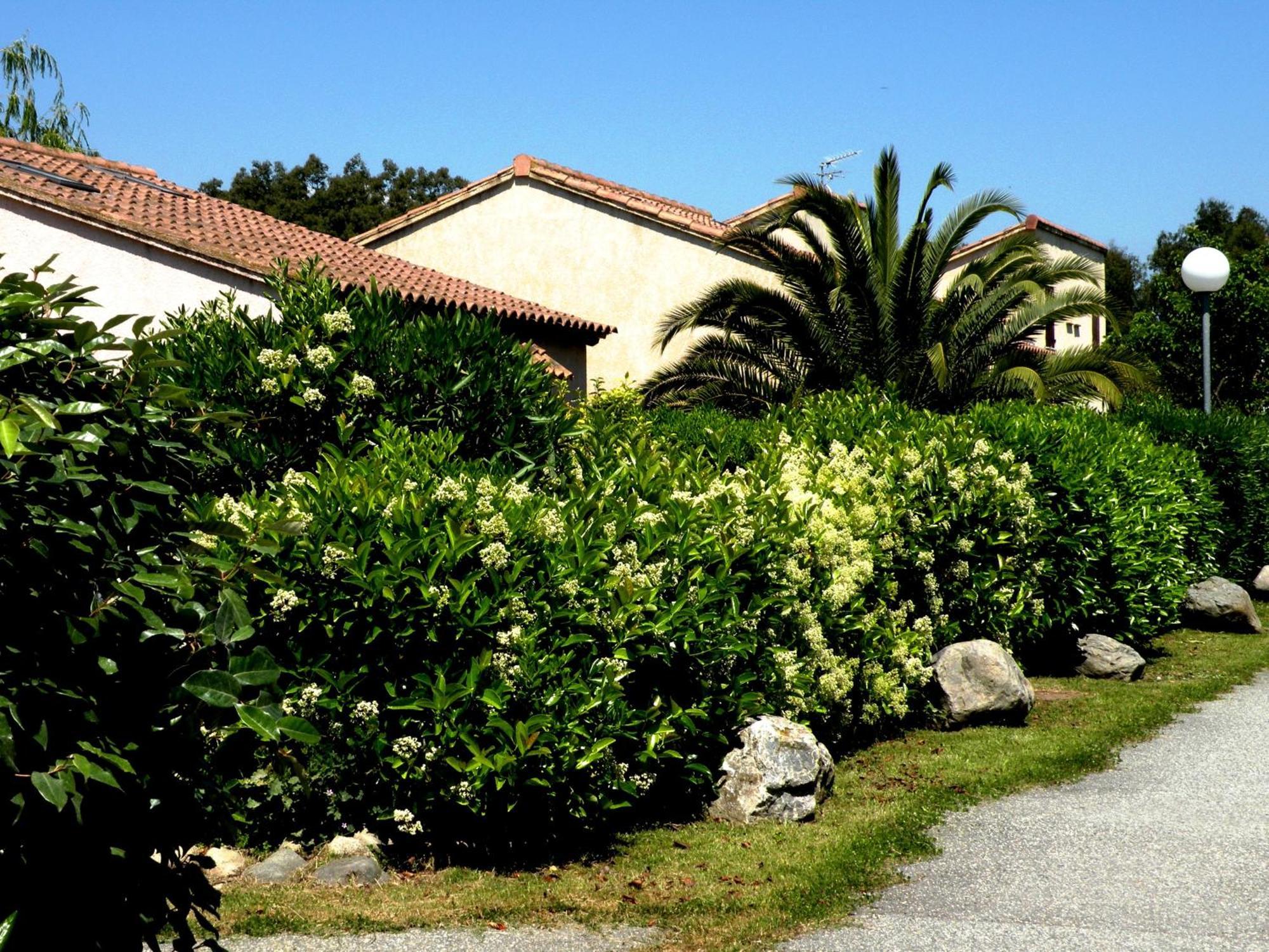 Residence De Tourisme Marina Corsa Ghisonaccia Eksteriør billede