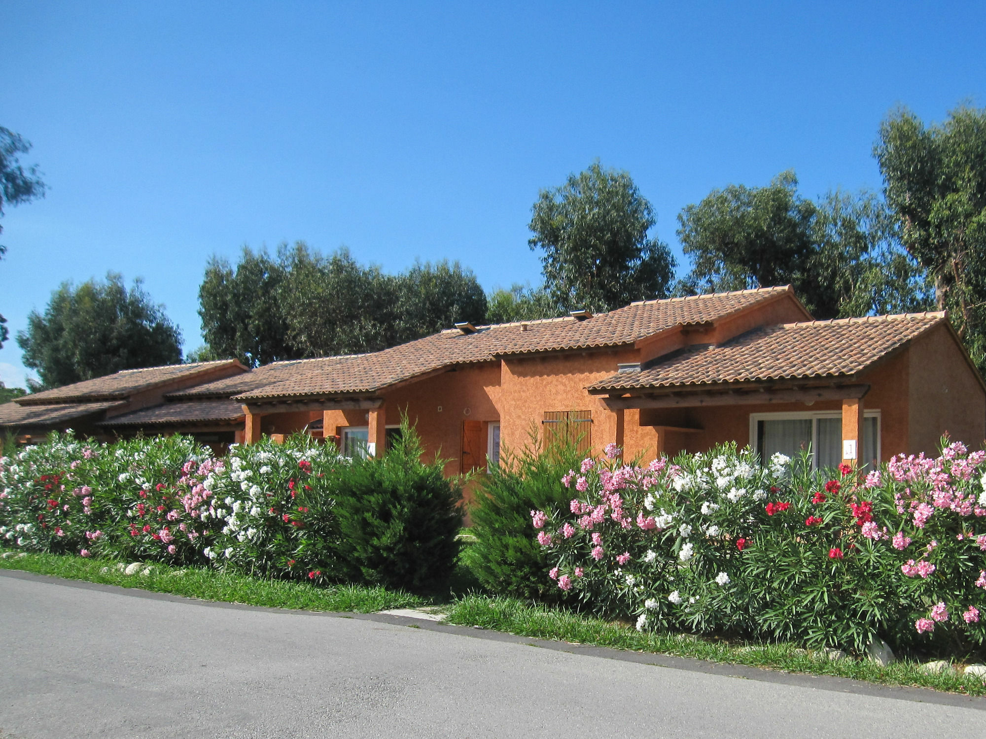Residence De Tourisme Marina Corsa Ghisonaccia Eksteriør billede